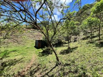 Finca en venta en Palmital Norte de El Guarco Cartago MLS 26-1829
