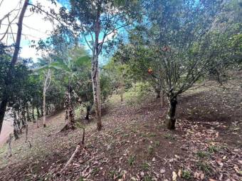Propiedad en venta en Toledo de Acosta MLS 26-1273