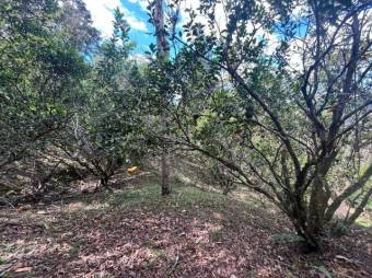Propiedad en venta en Toledo de Acosta MLS 26-1273