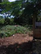 Venta de Lote en Carrillo-Sardinal, Guanacaste. RAH 26-47