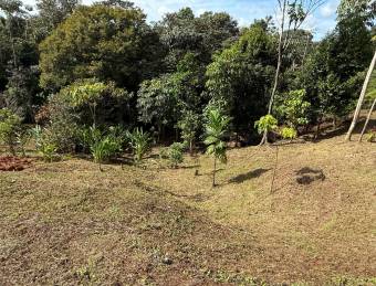 Flat land with water and electricity available, ideal for residential or investment use.