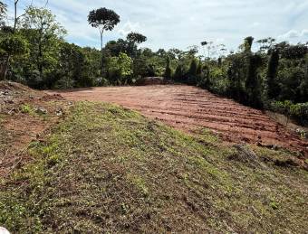 Flat land with water and electricity available, ideal for residential or investment use.