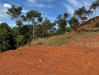 Flat land with water and electricity available, ideal for residential or investment use.