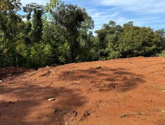 Flat land with water and electricity available, ideal for residential or investment use.