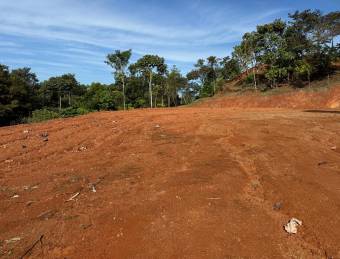 Flat land with water and electricity available, ideal for residential or investment use.