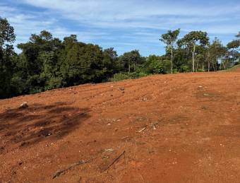 Flat land with water and electricity available, ideal for residential or investment use.