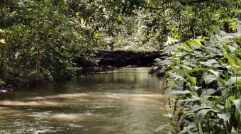 Se vende FINCA HORQUETAS