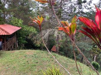 Hermosa Cabaña en Venta en Palo Verde de El Guarco, Cartago MLS 26-1774