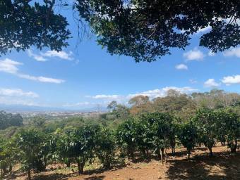 Hermosa Finca Cafetalera en Concepción de San Rafael