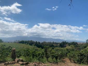 Hermosa Finca Cafetalera en Concepción de San Rafael