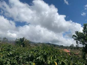 Hermosa Finca Cafetalera en Concepción de San Rafael