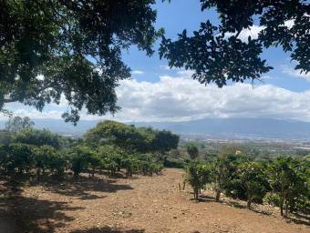 Hermosa Finca Cafetalera en Concepción de San Rafael