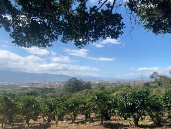 Hermosa Finca Cafetalera en Concepción de San Rafael
