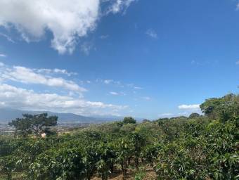 Hermosa Finca Cafetalera en Concepción de San Rafael