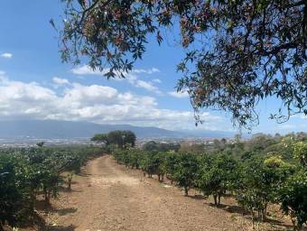 Hermosa Finca Cafetalera en Concepción de San Rafael