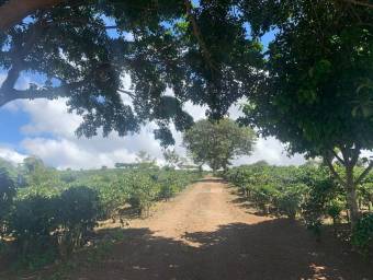 Hermosa Finca Cafetalera en Concepción de San Rafael