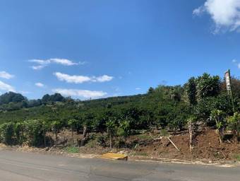Hermosa Finca Cafetalera en Concepción de San Rafael