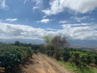 Hermosa Finca Cafetalera en Concepción de San Rafael