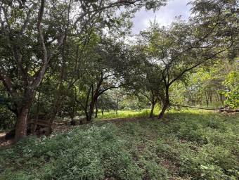 Se Vende Amplio Terreno en Curubandé