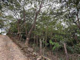 Se Vende Amplio Terreno en Curubandé