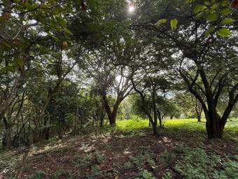 Se Vende Amplio Terreno en Curubandé