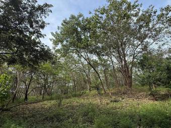Se Vende Amplio Terreno en Curubandé
