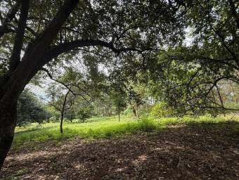 Se Vende Amplio Terreno en Curubandé