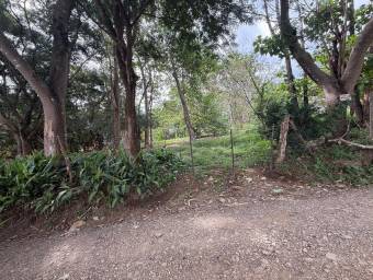 Se Vende Amplio Terreno en Curubandé