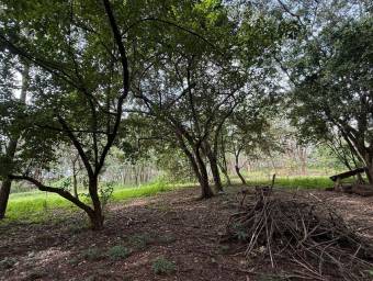 Se Vende Amplio Terreno en Curubandé