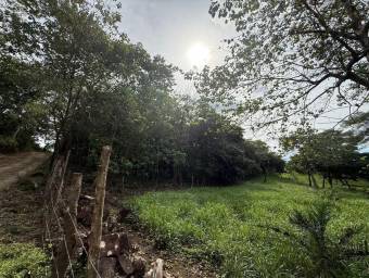 Se Vende Amplio Terreno en Curubandé