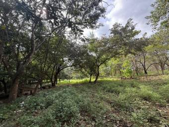 Se Vende Amplio Terreno en Curubandé