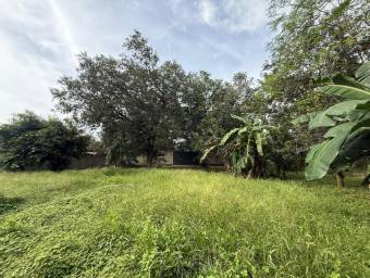 Se Vende Lote en Zona Residencial en Curubandé, Liberia