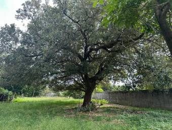 Se Vende Lote en Zona Residencial en Curubandé, Liberia