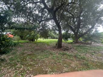 Se Vende Lote en Zona Residencial en Curubandé, Liberia