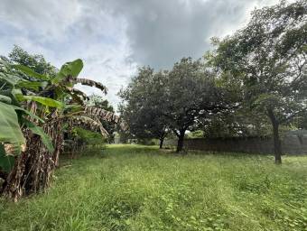 Se Vende Lote en Zona Residencial en Curubandé, Liberia