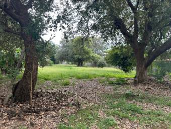 Se Vende Lote en Zona Residencial en Curubandé, Liberia