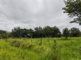 MLS-25-216 LS VENTA FINCA LIBERIA GUANACASTE CONTACTENOS AL # 86127562