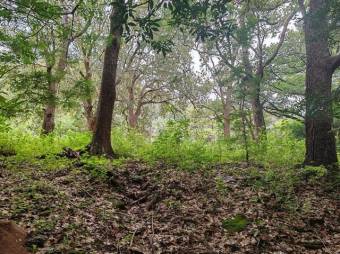 MLS-25-216 LS VENTA FINCA LIBERIA GUANACASTE CONTACTENOS AL # 86127562