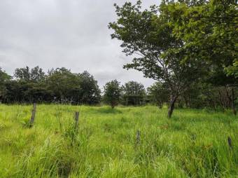 MLS-25-216 LS VENTA FINCA LIBERIA GUANACASTE CONTACTENOS AL # 86127562