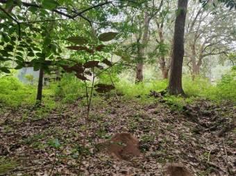 MLS-25-216 KQ-VENTA FINCA LIBERIA GUANACASTE CONTACTENOS AL # 88987222