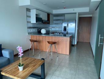 Se alquila apartamento en Catedral San José 26-1938
