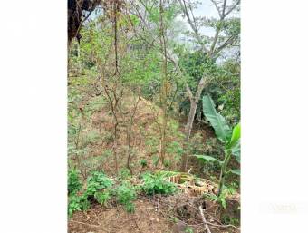 Development Lot for Sale in Bosque Mora