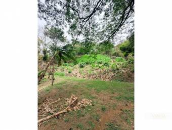 Development Lot for Sale in Bosque Mora
