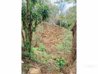 Development Lot for Sale in Bosque Mora