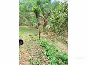 Development Lot for Sale in Bosque Mora