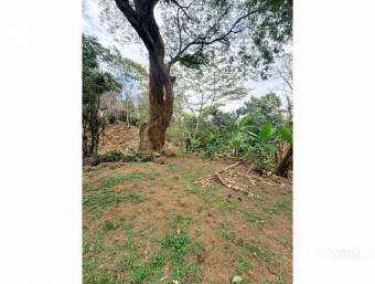 Development Lot for Sale in Bosque Mora