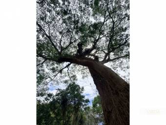 Development Lot for Sale in Bosque Mora
