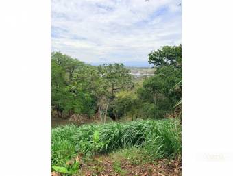 Development Lot for Sale in Bosque Mora