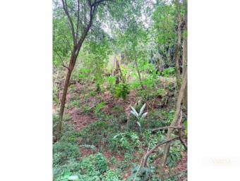 Development Lot for Sale in Bosque Mora