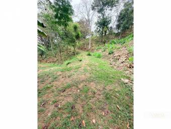 Development Lot for Sale in Bosque Mora